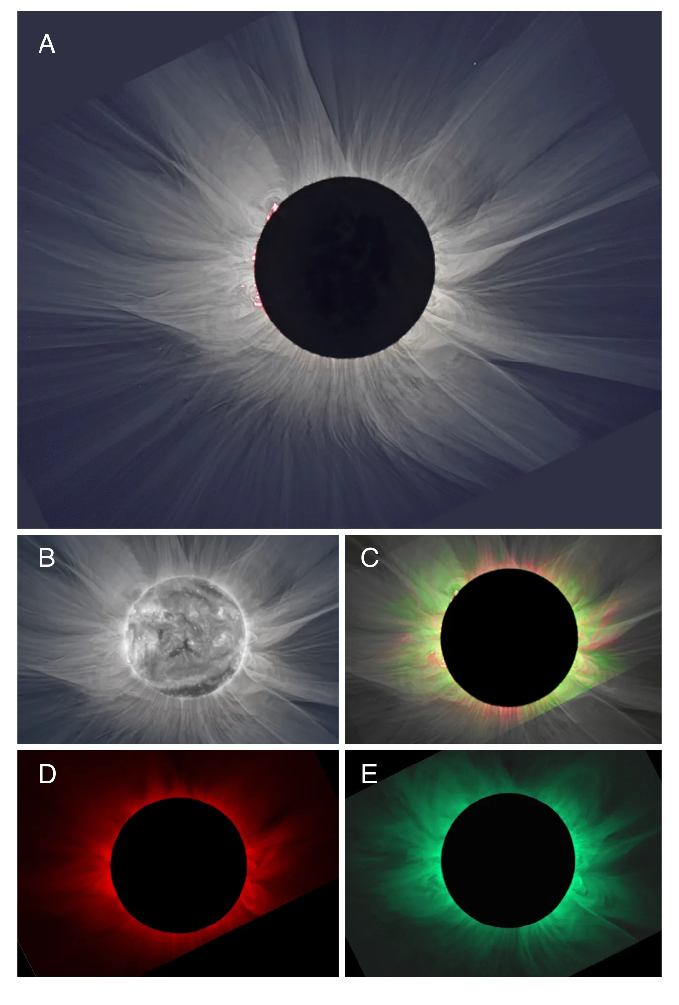 Five-panel scientific figure of the 20 March 2015 corona: processed white light, a closer white-light view, a red-and-green composite, Fe XI in red, and Fe XIV in green