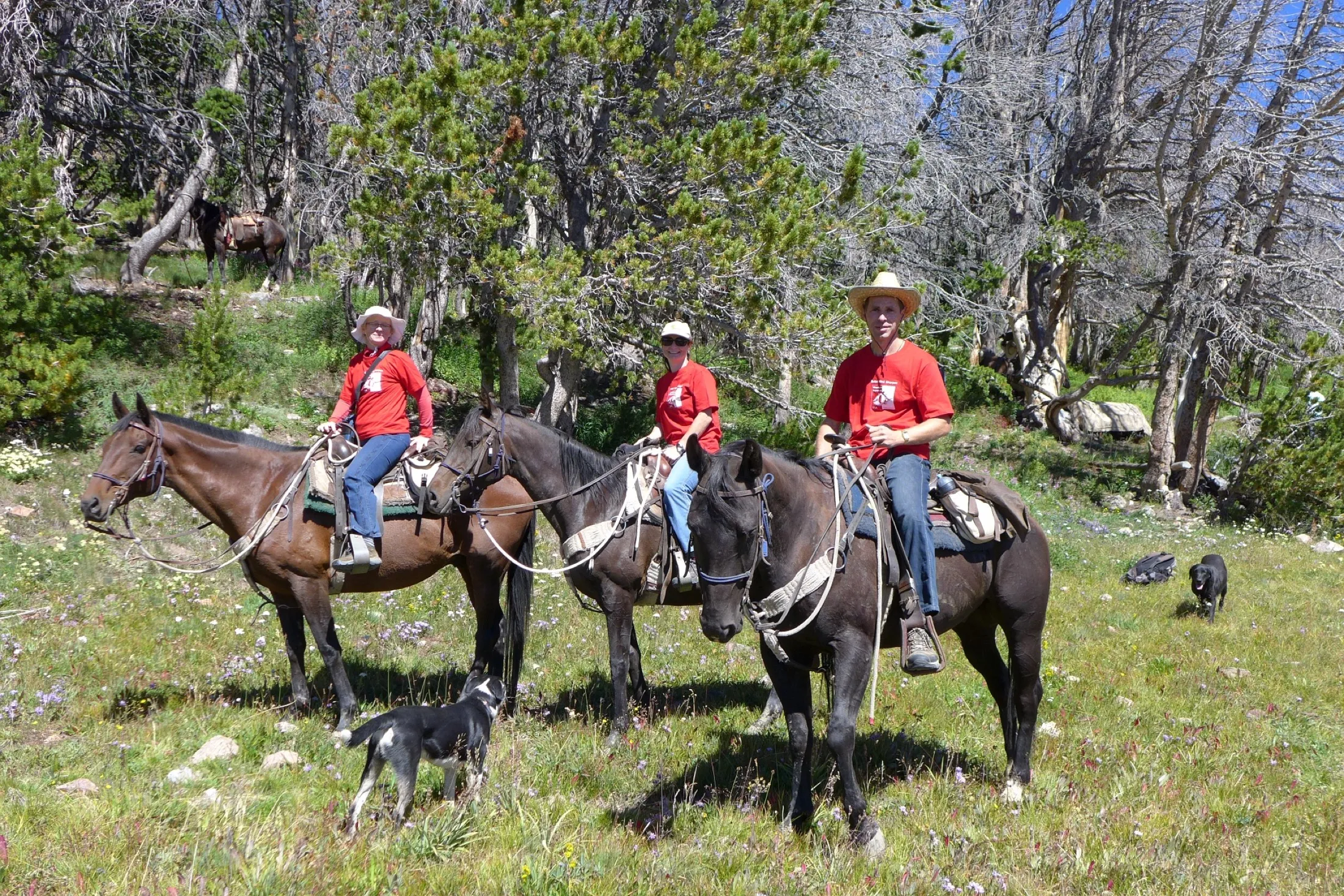 Petr, Jana and a teammate on horseback among mountain trees