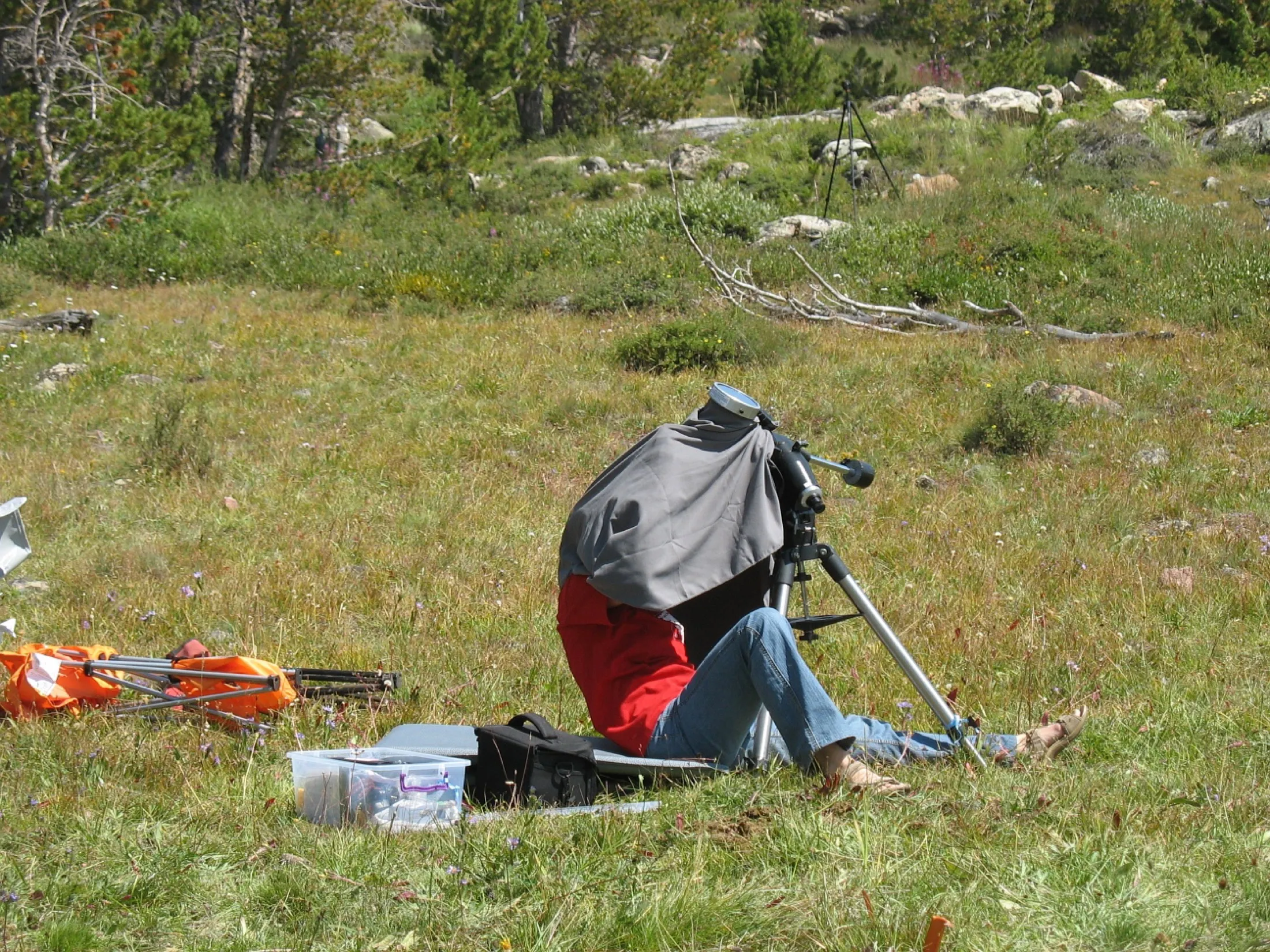 Jana working under a cloth at an instrument, with horses nearby