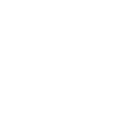 Wentworth Institute of Technology